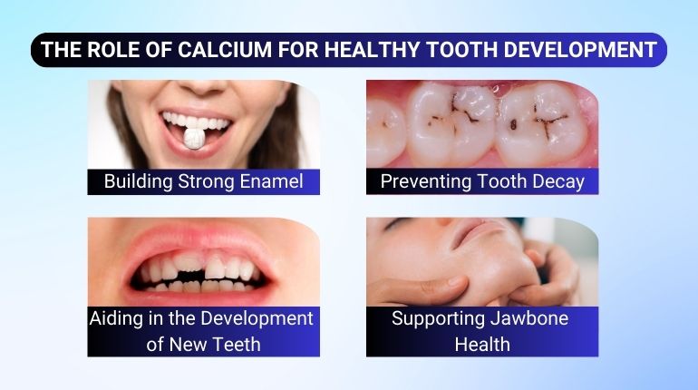 The Role of Calcium for Healthy Tooth Development